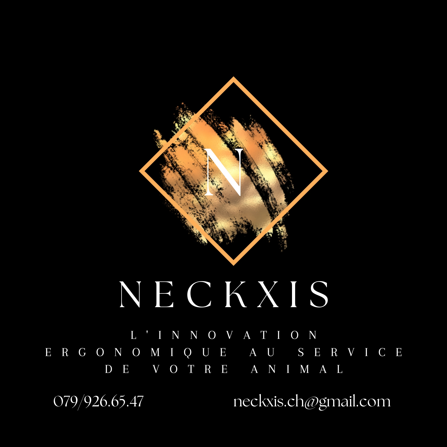 Neckxis logo